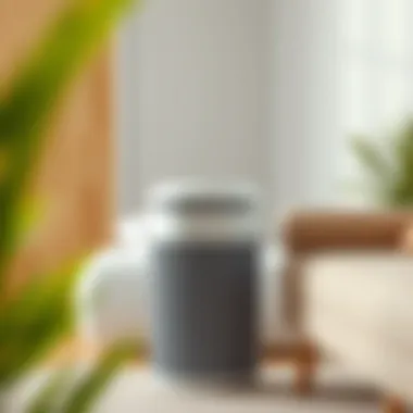 Minimalist Aesthetic and Functionality Stylish trash can with lid in a minimalist living space