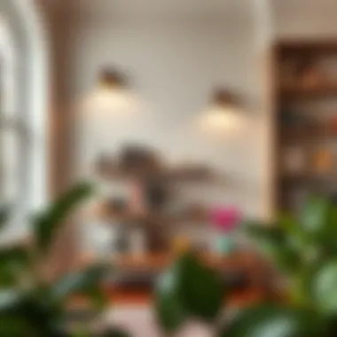 Diverse styles of bookshelf sconces showcasing aesthetic variety