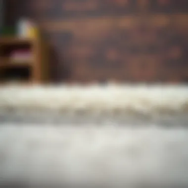 The Essential Guide to Choosing a 7 by 9 Rug Pad Introduction