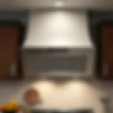 Understanding Range Hood Filters: A Comprehensive Guide Summary Understanding Range Hood Filters: A Comprehensive Guide Summary