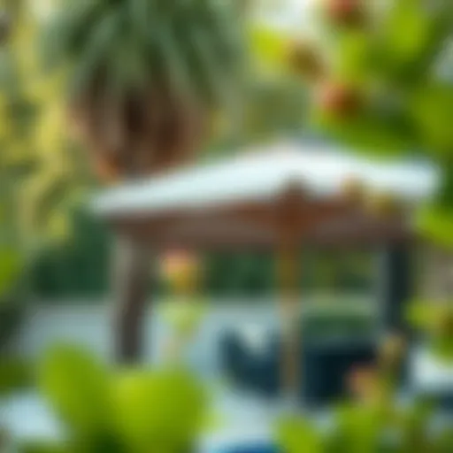 Understanding the 7 x 9 Patio Umbrella: A Detailed Exploration Introduction